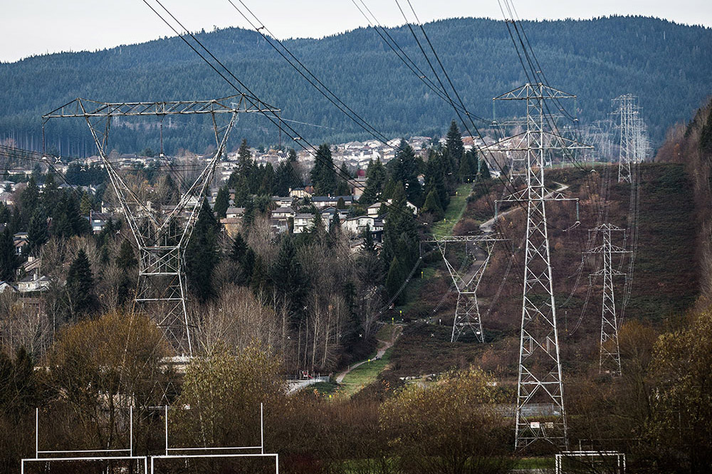 Transmission towers are seen in Coquitlam, B.C., in a file photo from Nov. 24, 2013. Carmine Marinelli/Postmedia News