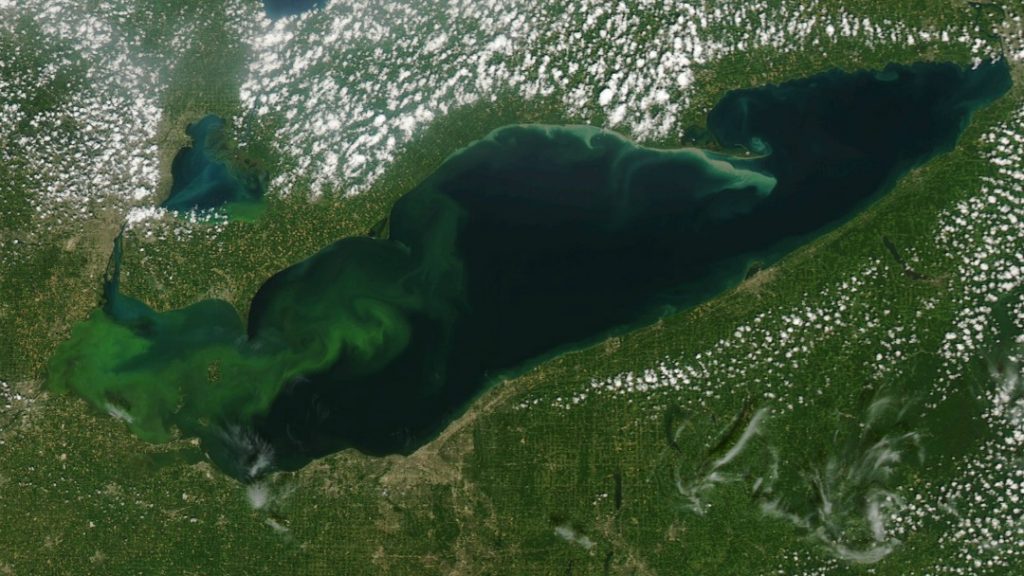 MODIS (aqua) satellite image of Lake Erie harmful algal bloom, August 22, 2015. Credit: NOAA Great Lakes CoastWatch